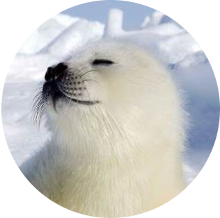 SEAL